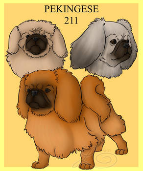 Pekingese