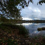 Vernonia mill pond