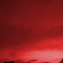 Bloody Red Sky