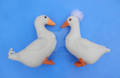 Pekin Ducks