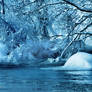 winter feeling . ..