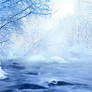 winter wonders