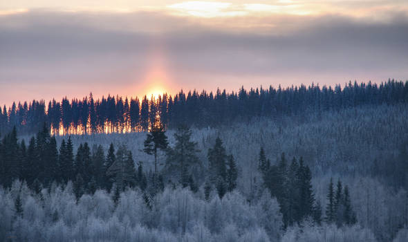 winter afternoon in Finland