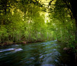 green river