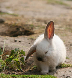 tired .. by KariLiimatainen tired .. by KariLiimatainen