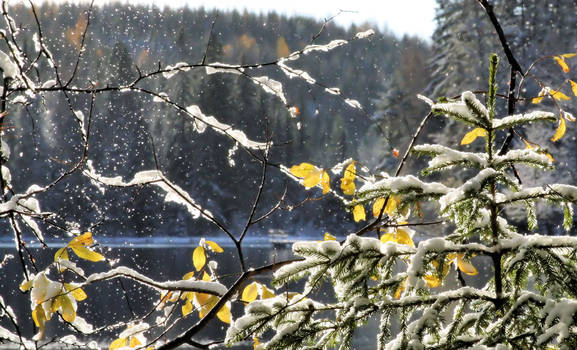 snowfall on the lake II