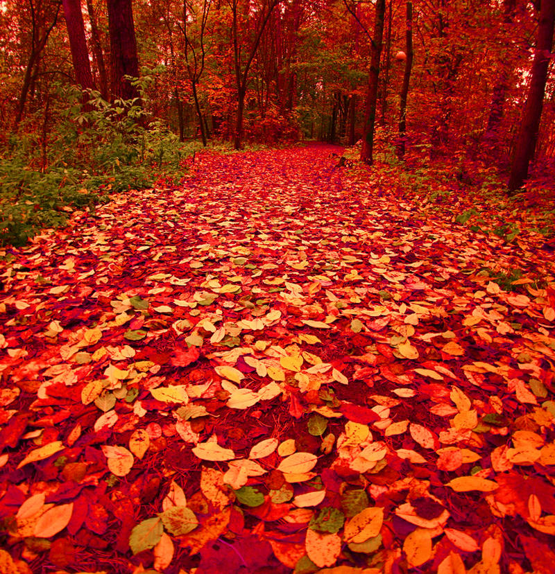 red path II by KariLiimatainen on DeviantArt