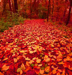 red path II by KariLiimatainen