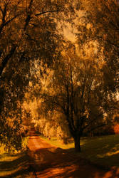 road through the autumn ...