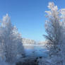 winter in Finland