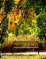 sit down and  enjoy the autumn