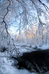 view of the river by KariLiimatainen