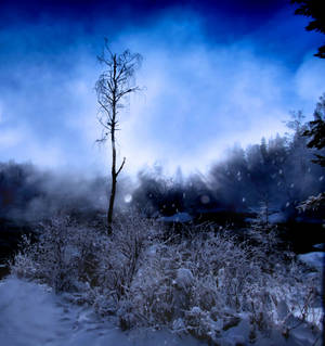 winter 23 by KariLiimatainen winter 23 by KariLiimatainen