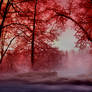 red winter ...