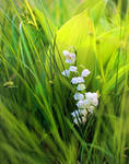 lily of the valley by KariLiimatainen