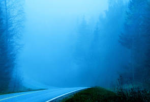 Misty road