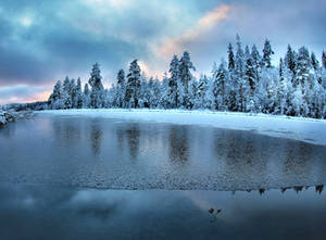 winter beauty by KariLiimatainen