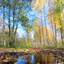 Beautiful autumn path.