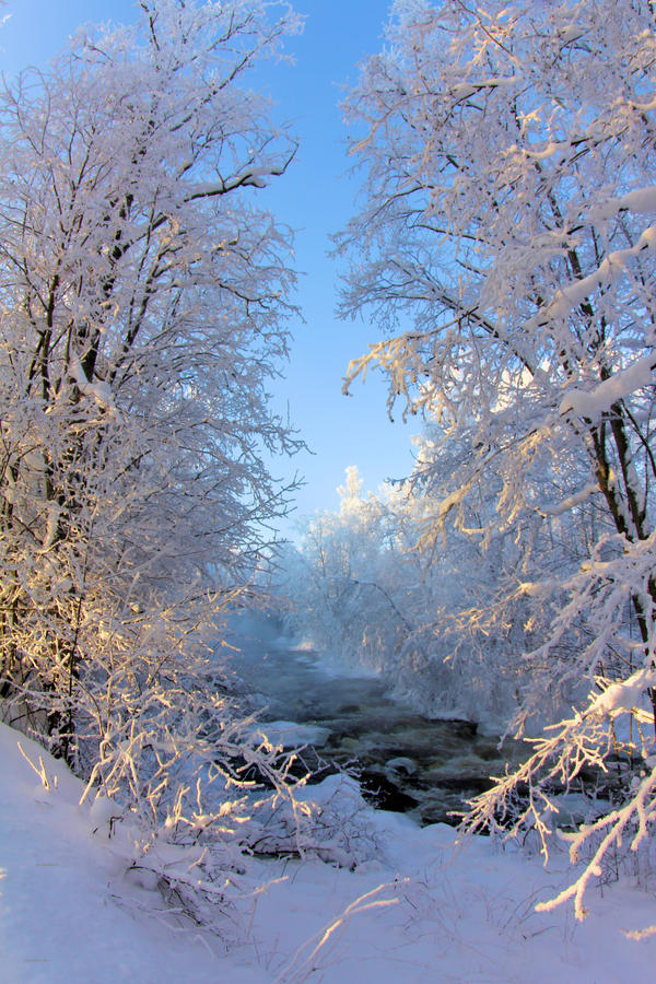 Winter in Finland.