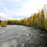 Autumn arrived at the river