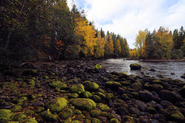 Autumn on the river.