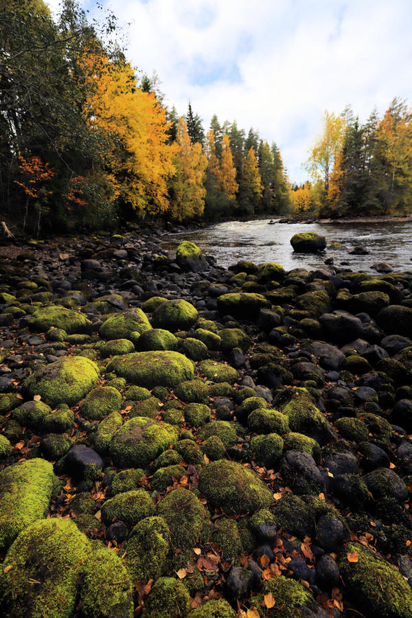 Beautiful Green Rocks Beautiful green rocks in the middle of autumn by KariLiimatainen on ...