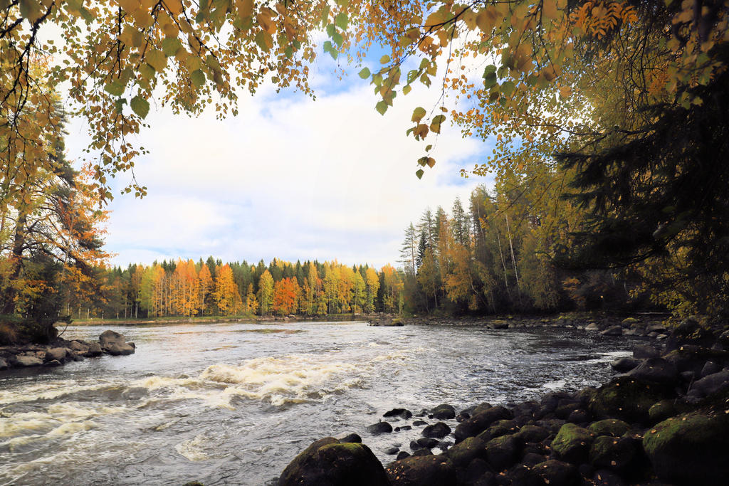 Autumn on the river 2018. by KariLiimatainen