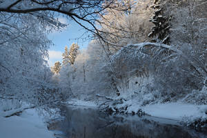 Beautiful winter day..