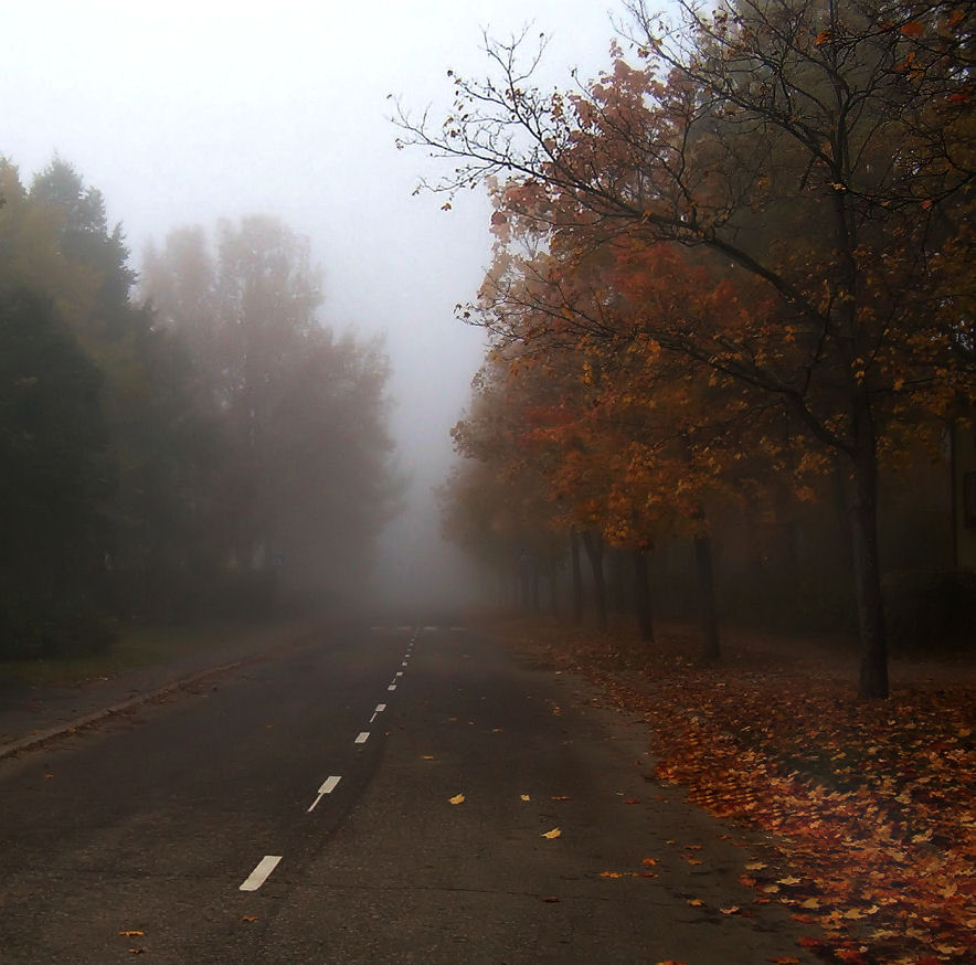 misty road