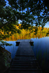 Summer cottage views