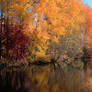Autumn river