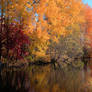 Autumn river