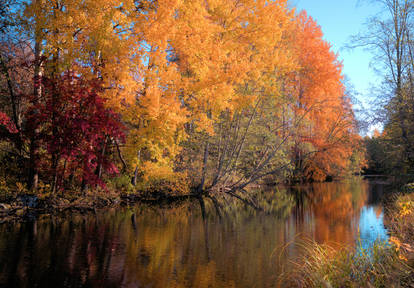 Autumn river