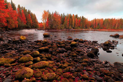 Autmn river view.