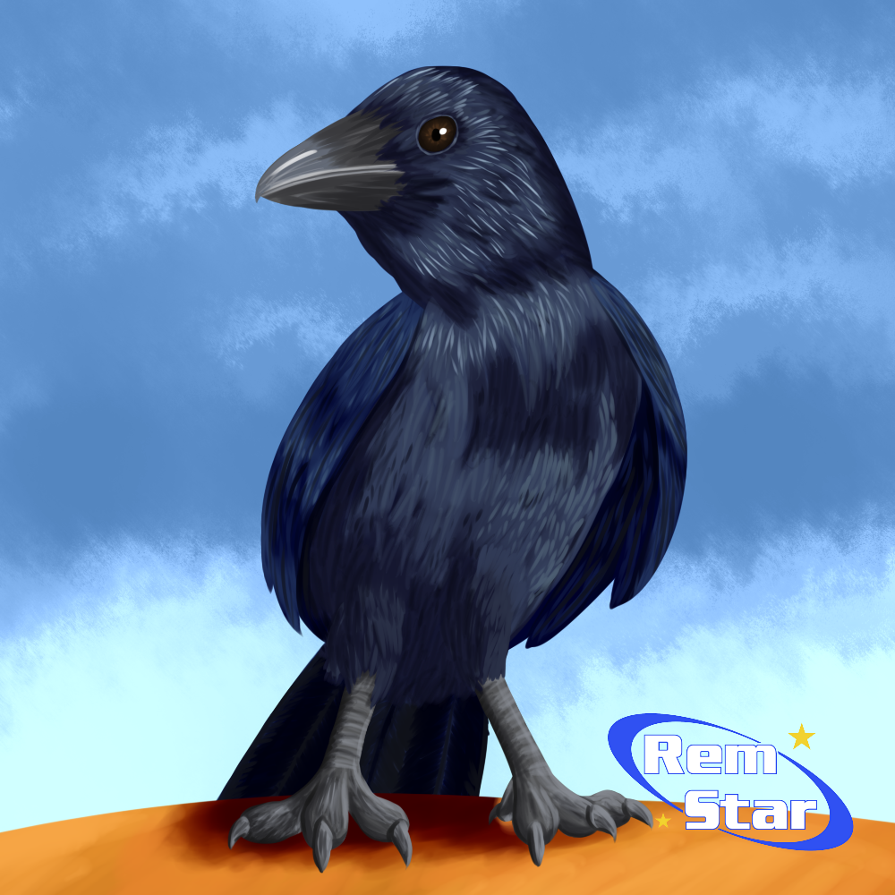 Raven Small Animation A small raven by Rem--Star on DeviantArt