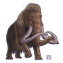 Mammuthus primigenius (Woolly Mammoth)