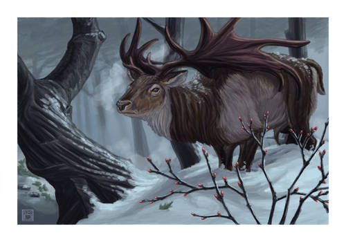 Echoes of an Ancient Winter - Megaloceros gigant