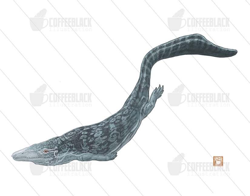 Doolysaurus Deviantart Dallasaurus turneri by 0CoffeeBlack0 on DeviantArt