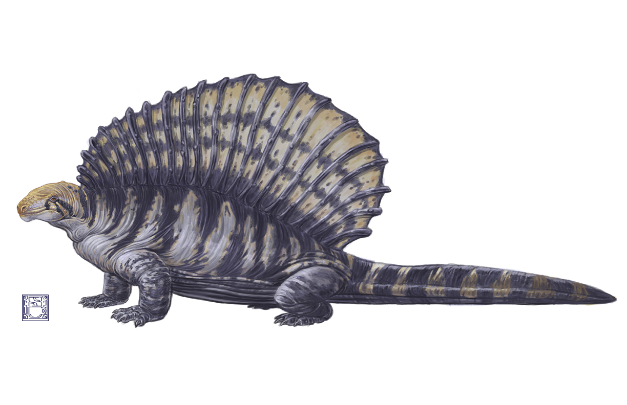 Edaphosaur Edaphosaurus pogonias by 0CoffeeBlack0 on DeviantArt