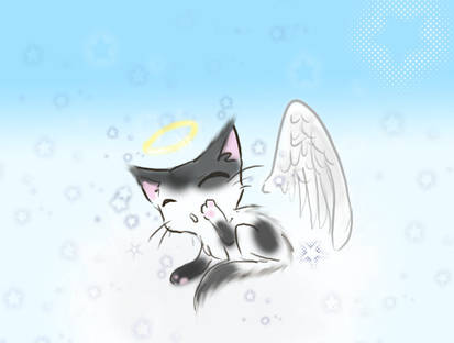 R.I.P Tiny