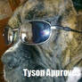 Tysonaprroves