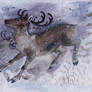 Christmas Card: running deer