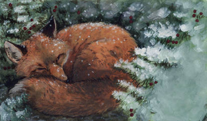 Christmas Card: napping fox