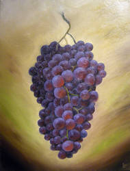 Trauben - Grapes - Oil