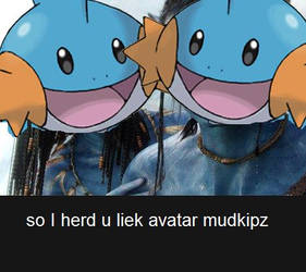 avatar mudkips