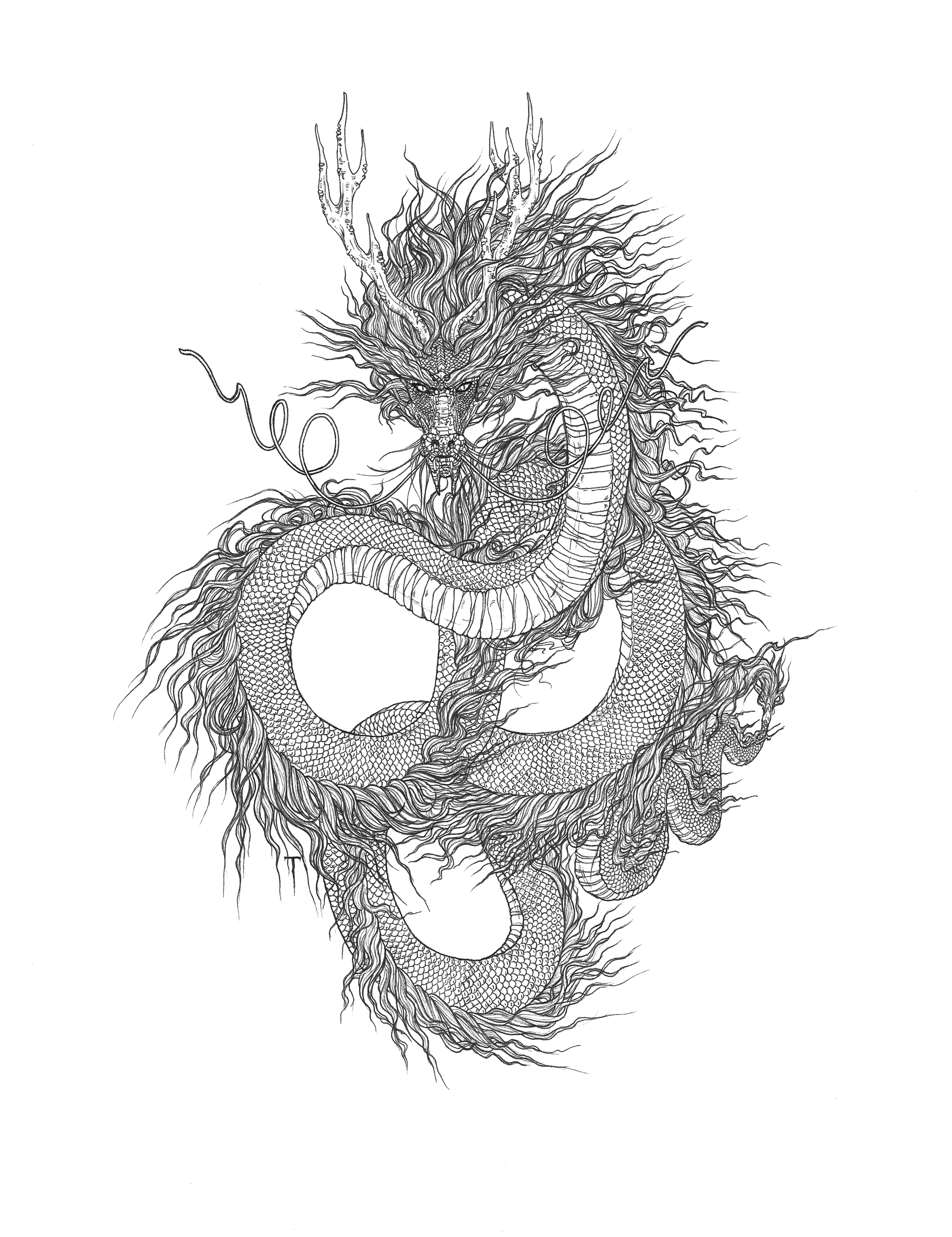 Lunar Dragon