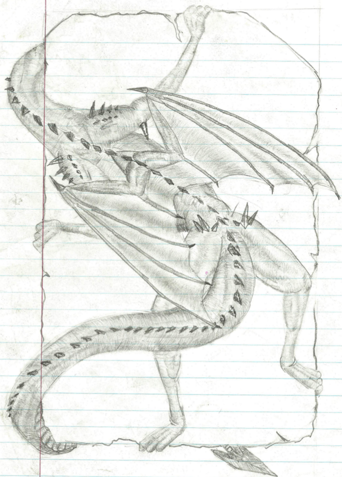 Letter Dragon(back)