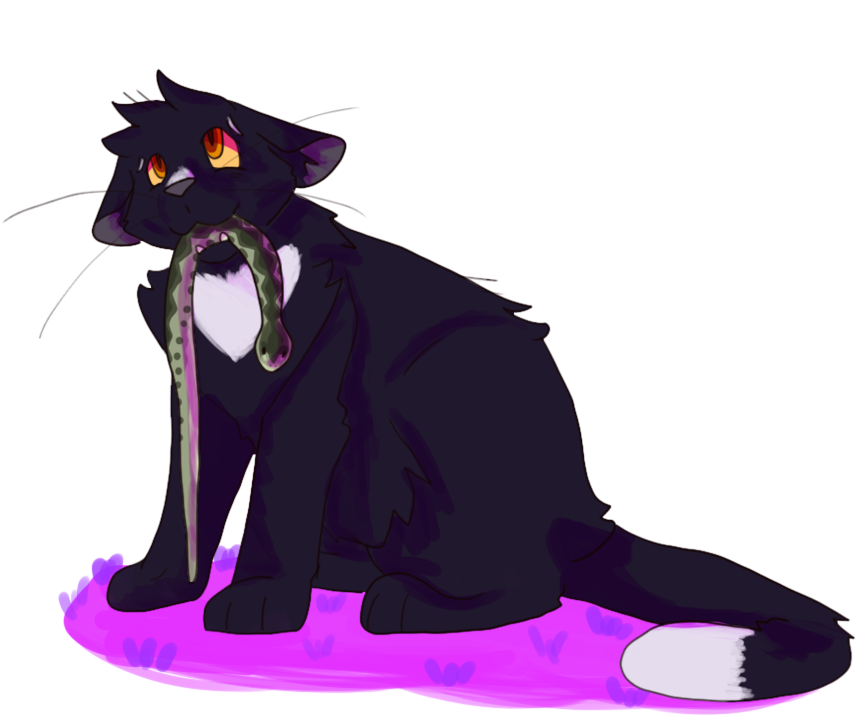 Ravenpaw (Warrior cats) - Drawception