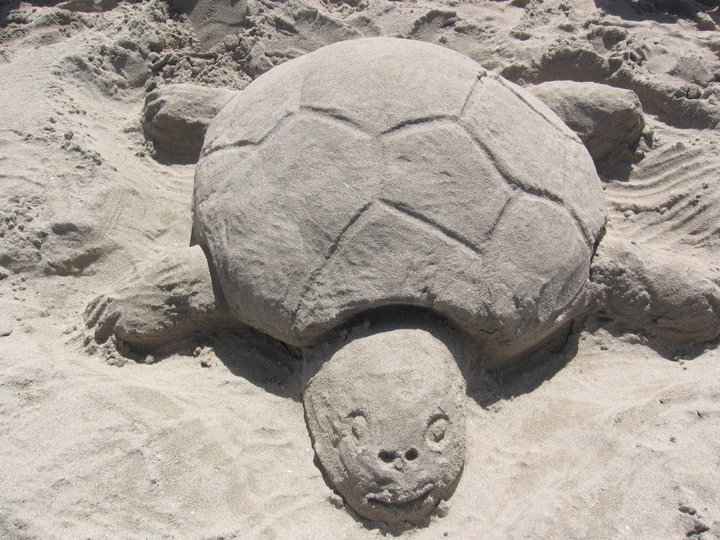 Sand sculpture - turtle....