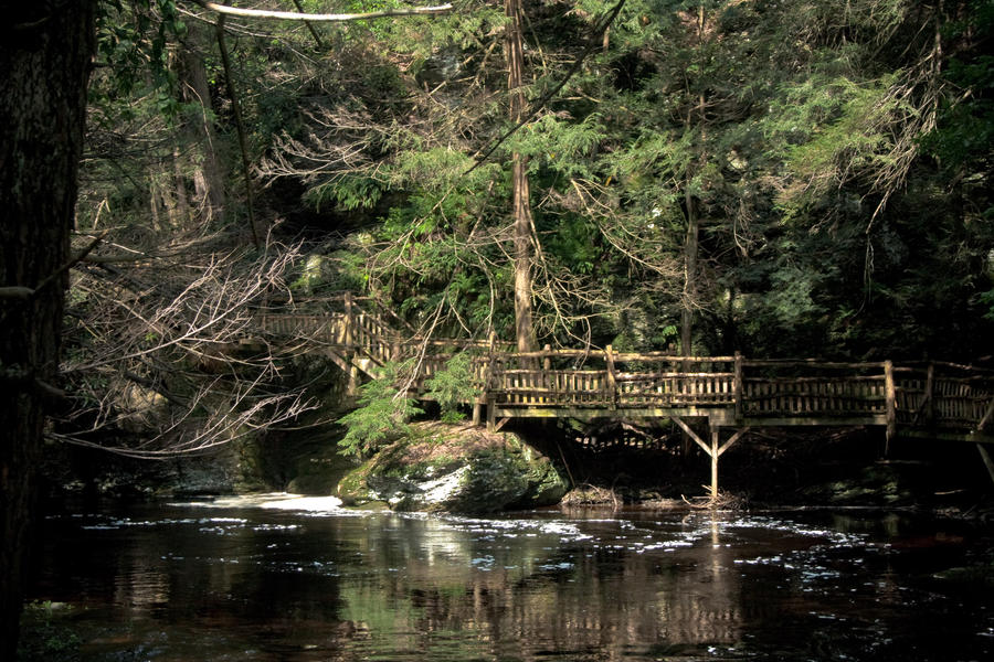 BushKill Falls 2009